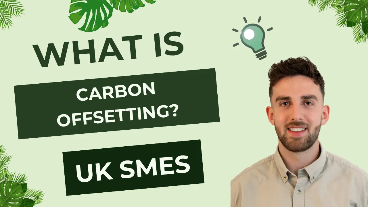 What Is Carbon Offsetting? How Verified Carbon Offset Projects Work for Businesses