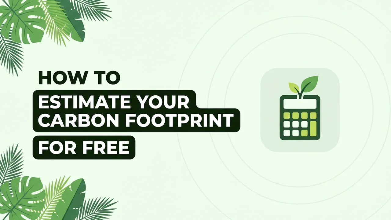 How to Estimate Your Business Carbon Footprint for Free (and When You Need a Verified One)