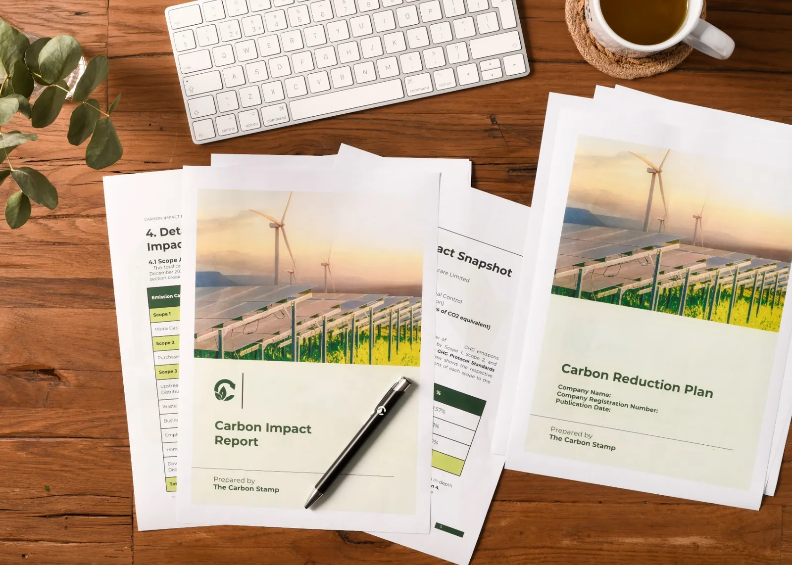 Carbon Reduction Plan Consultant: Do You Need One for PPN 006?