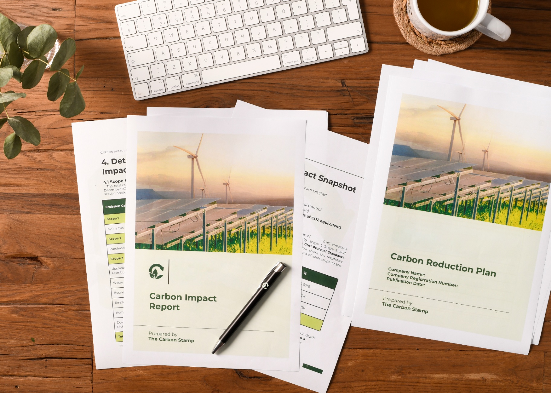 Carbon Reduction Plan Consultant: Do You Need One for PPN 006?